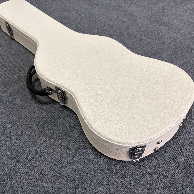 Custodia Rigida Portatile in P - Diy Guitar Electronics recensione e prezzo